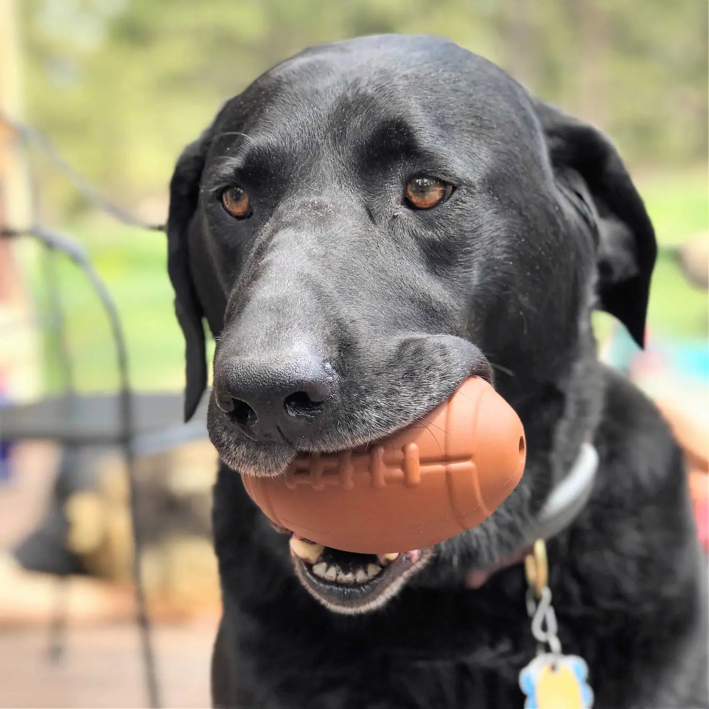 Football Dog Chew Toy & Treat Dispenser - Large