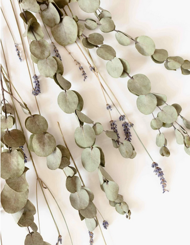 Eucalyptus Lavender - Fragrance Melts