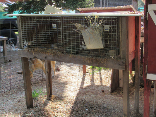 2 Hole / Cage Rabbit Hutch