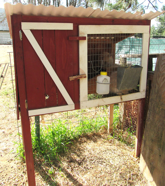 Red & White Rabbit Hutches