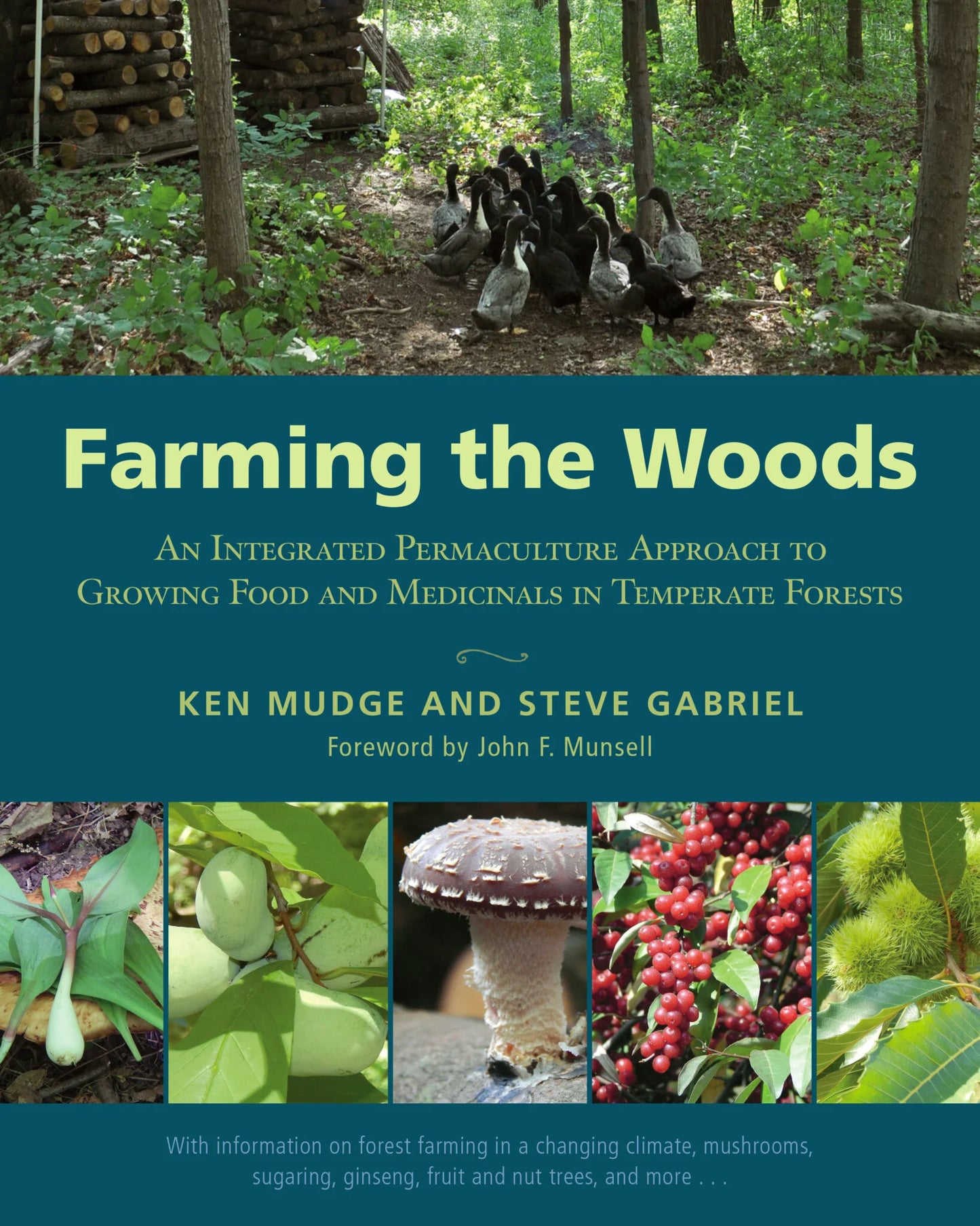 Farming the Woods  An Integrated Permaculture Approach to Growing Food and Medicinals in Temperate Forests by Steve Gabriel & Ken Mudge