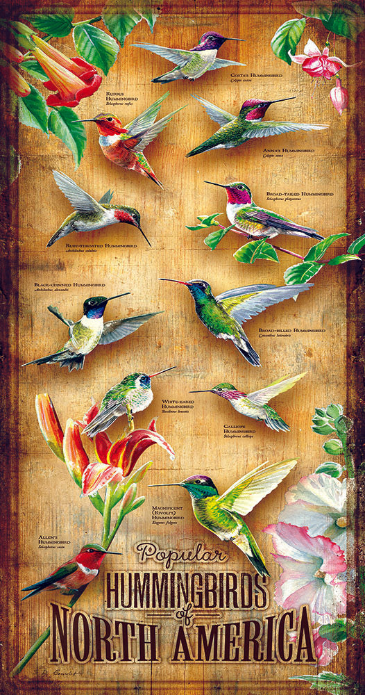 Hummingbirds of North America 500 Piece Jigsaw Puzzle
